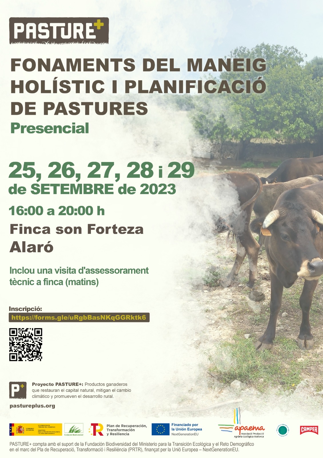 Fonaments del maneig holístic i planificació de pastures