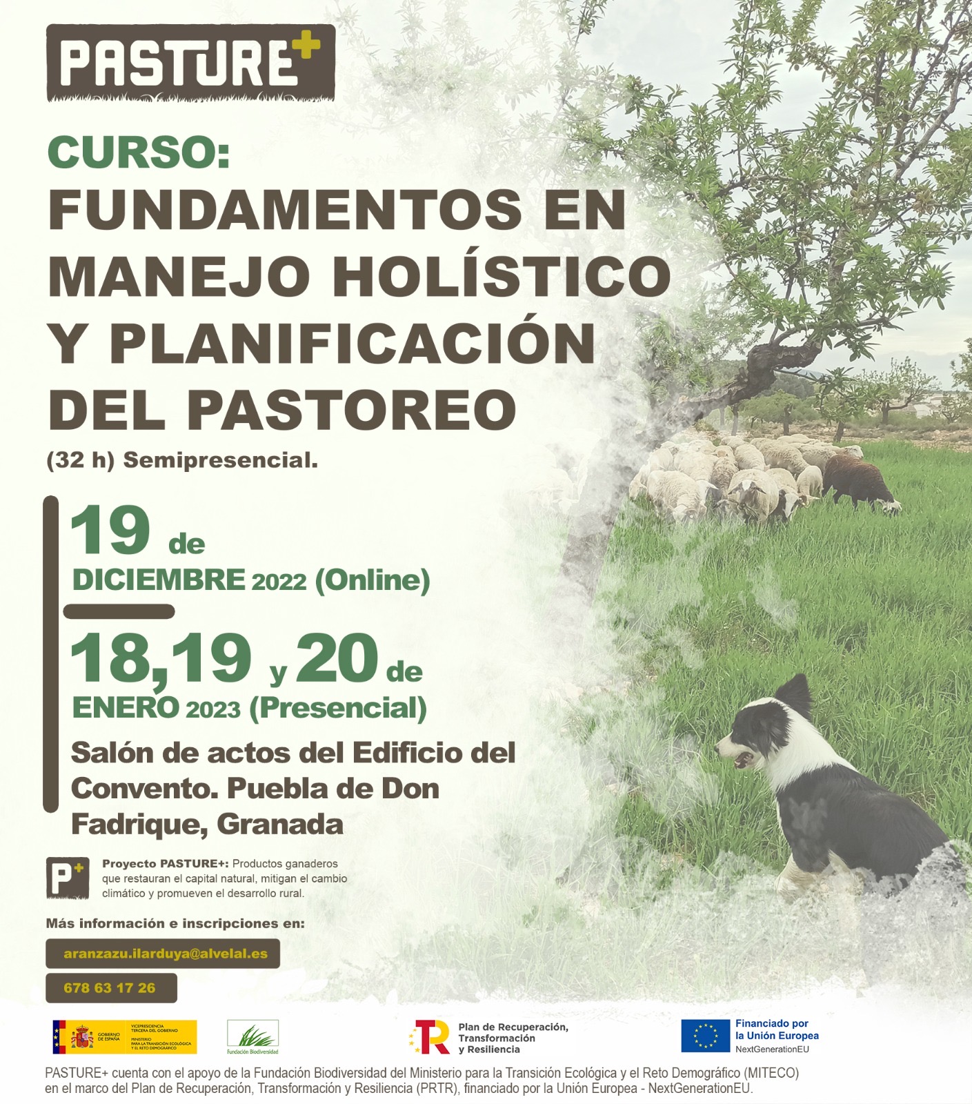 Curso: Fundamentos en manejo holístico y planificación del pastoreo