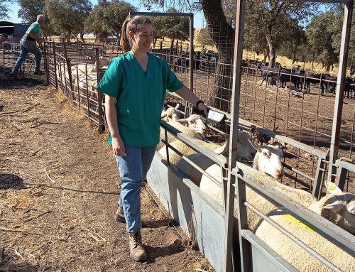 Fundación Valhondo optimiza recursos en sus fincas con la implementación de nuevas tecnologías de seguimiento ganadero